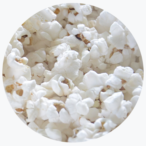 Jane's Gourmet White Popcorn Simply Salted