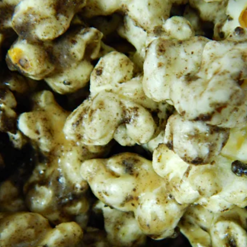Cookies and Cream gourmet popcorn