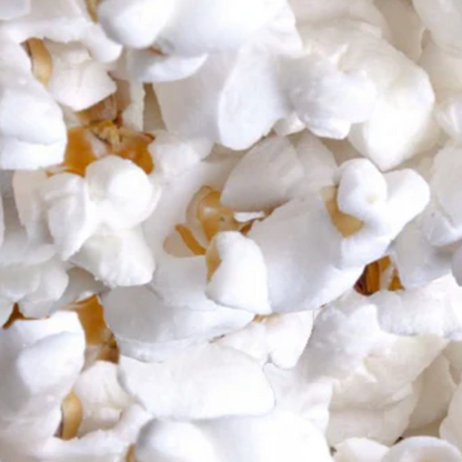 Lightly Salted Popcorn